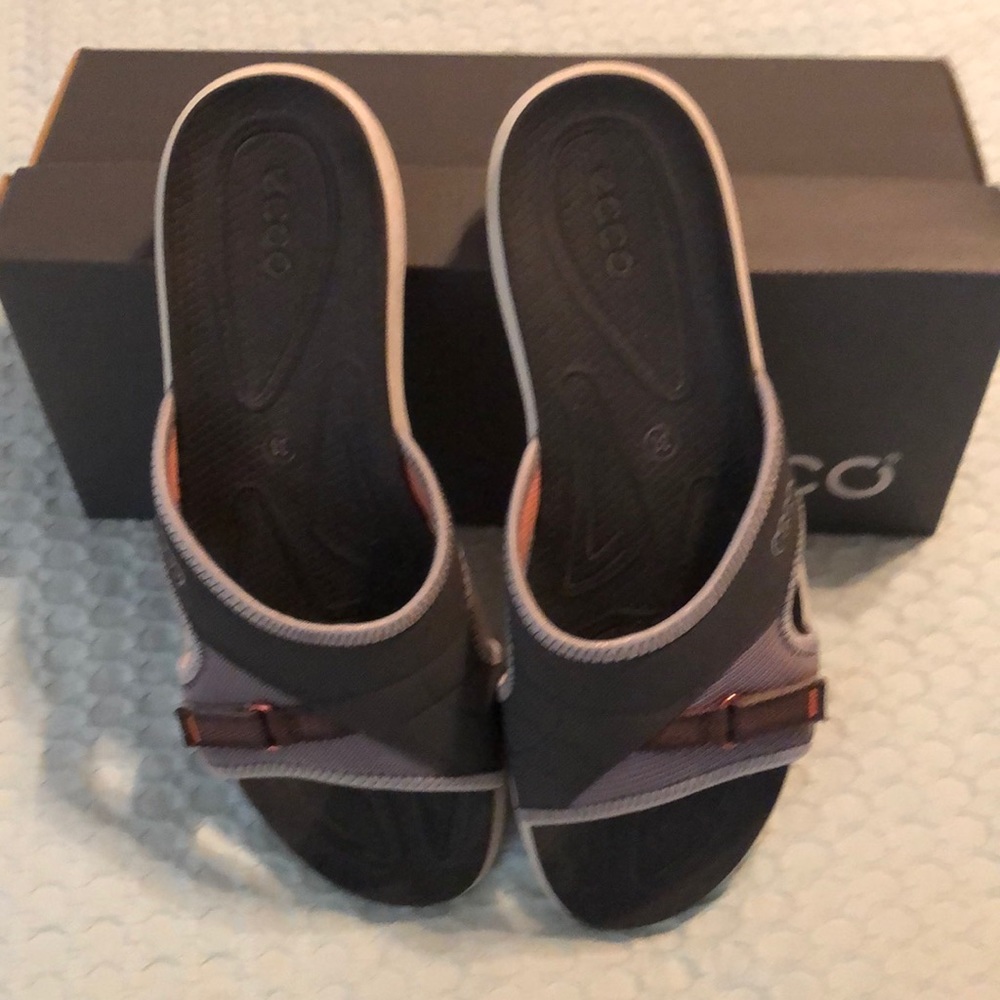 Ecco slide